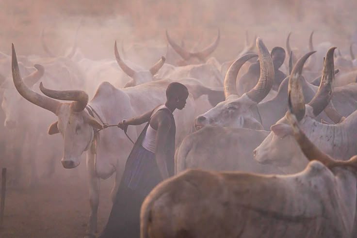 Livestock & Fisheries