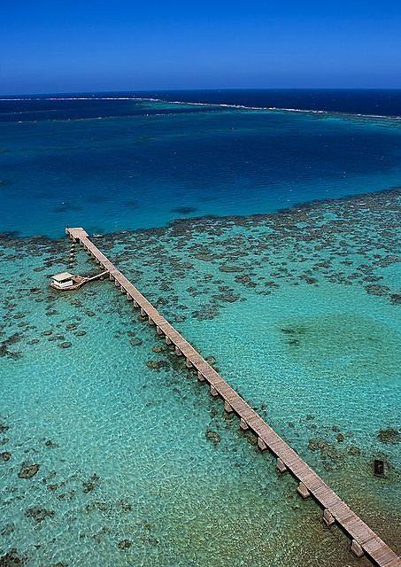 Red Sea Fisheries